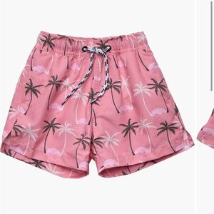 Snapper rock palm Recycled blend volley board shorts size 12